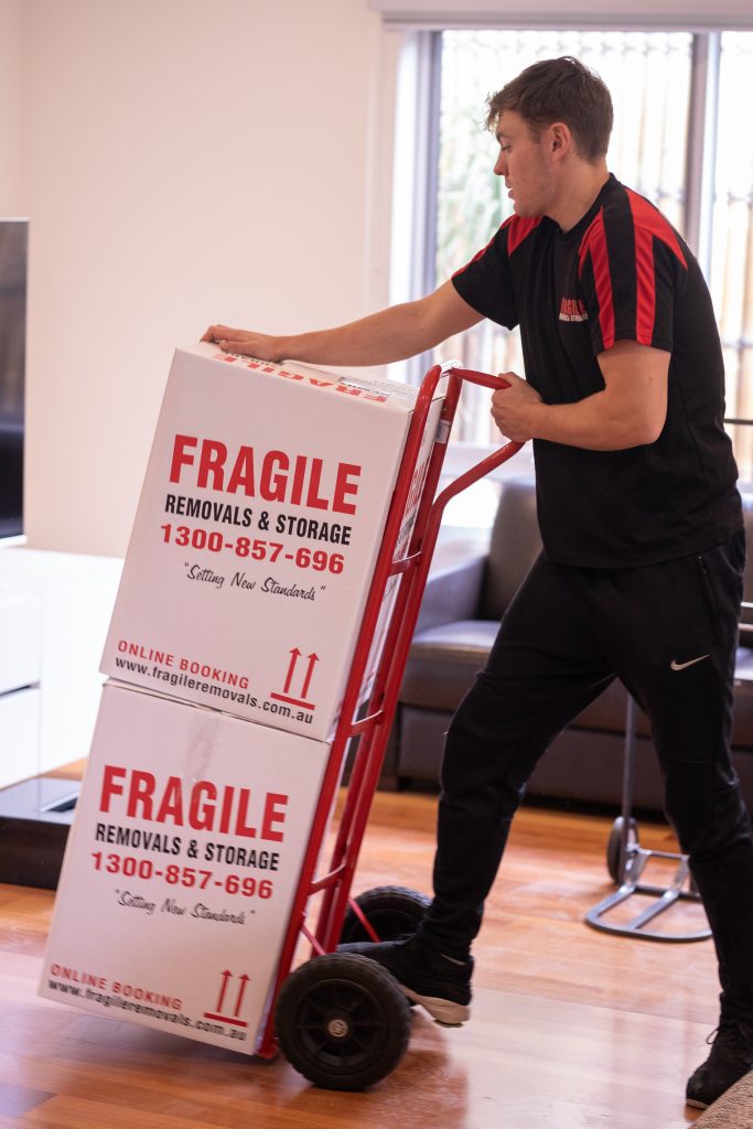 Fragile Ashburton 11