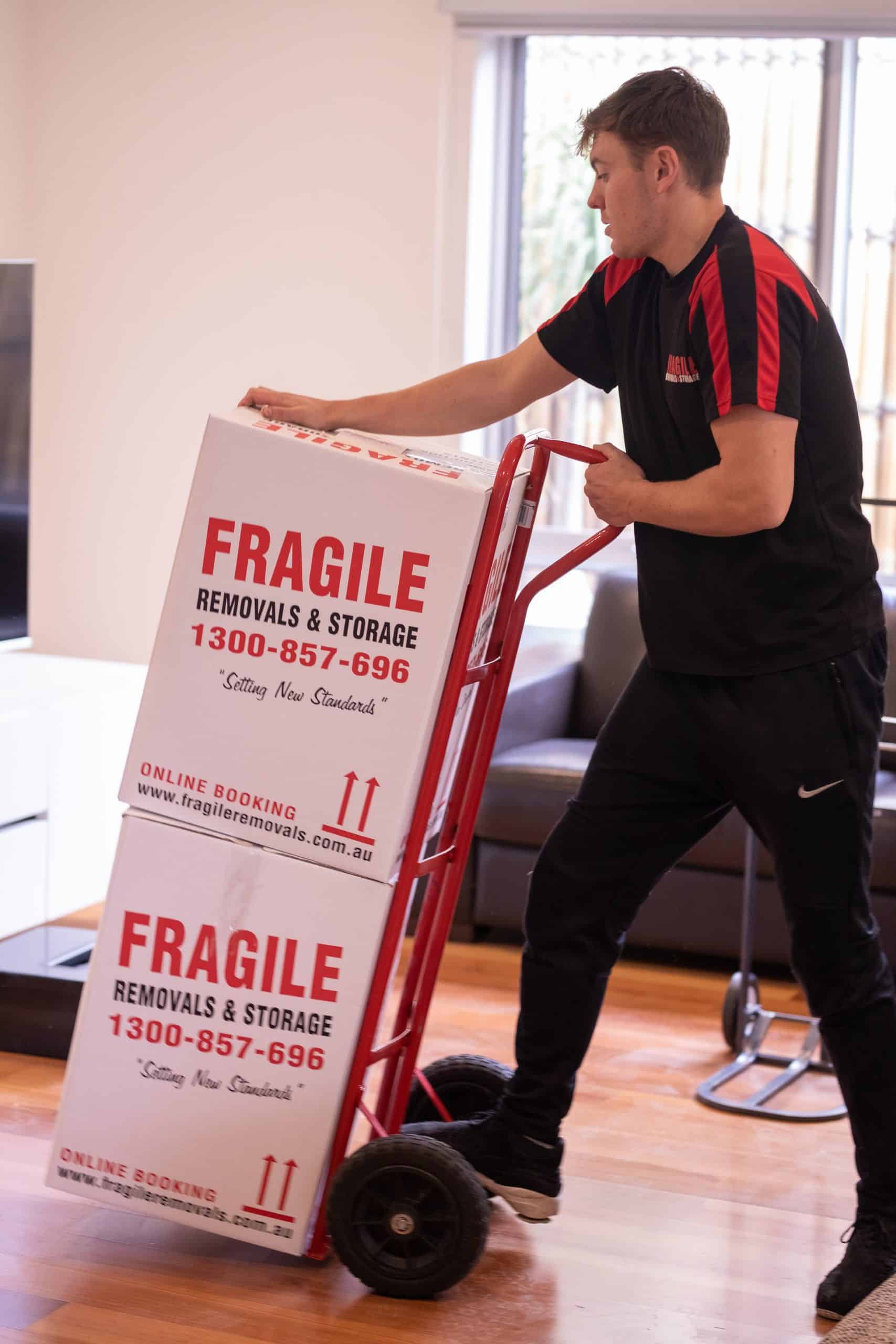 Fragile Ashburton 11 scaled